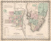 Historic Map : Savannah, Georgia. Charleston, South Carolina., 1880, Vintage Wall Decor