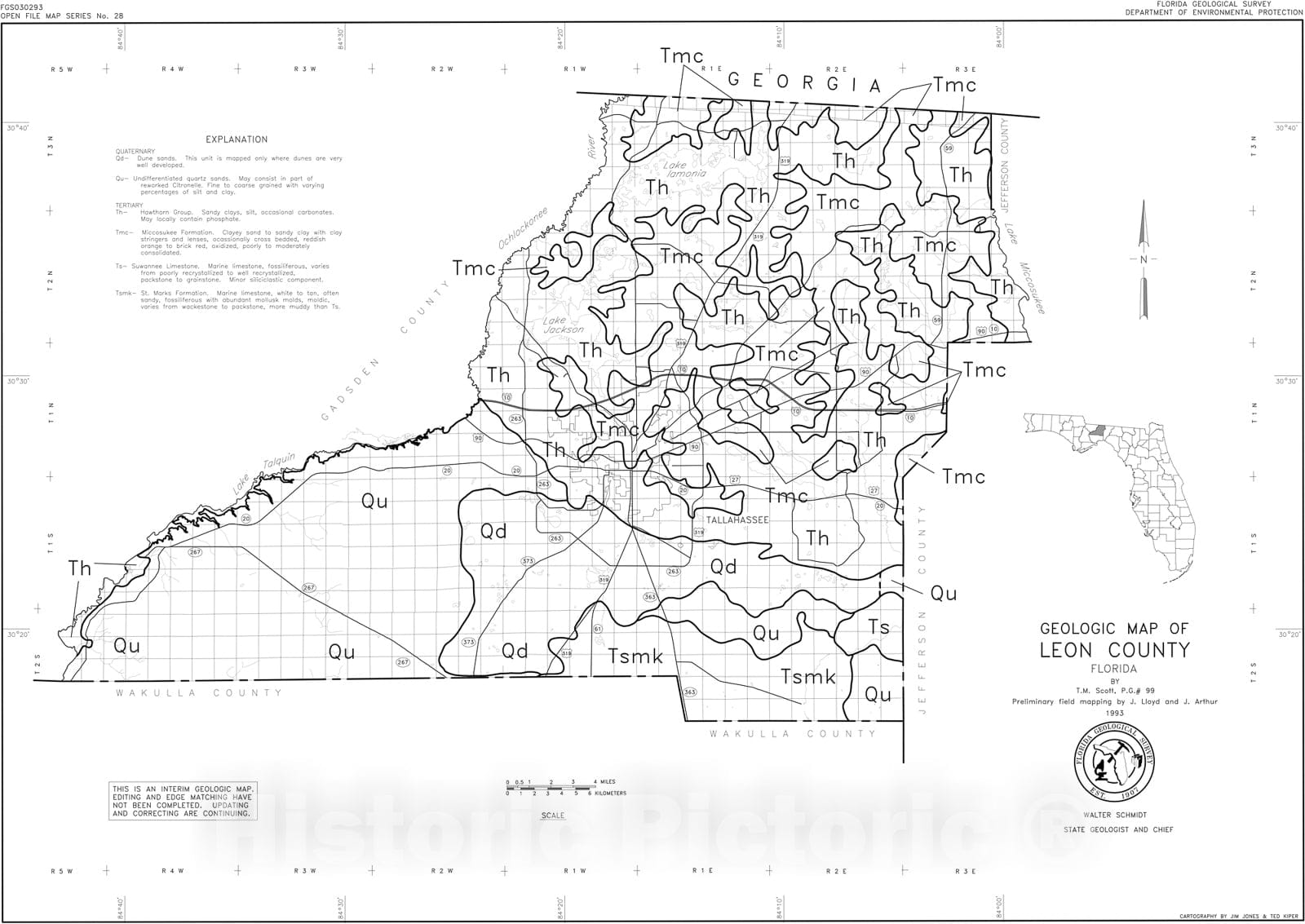 Map Geologic map of Leon County, Florida, 1993 Cartography Wall Art