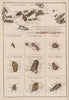 Historic Map : Cartes De Supplement Pour Les Antilles [Virgin Islands], 1787, Rigobert Bonne, v2, Vintage Wall Art