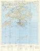 Historic Map : Kowloon and The New Territories, 1960, Geographical Section, War Office (UK), Vintage Wall Art