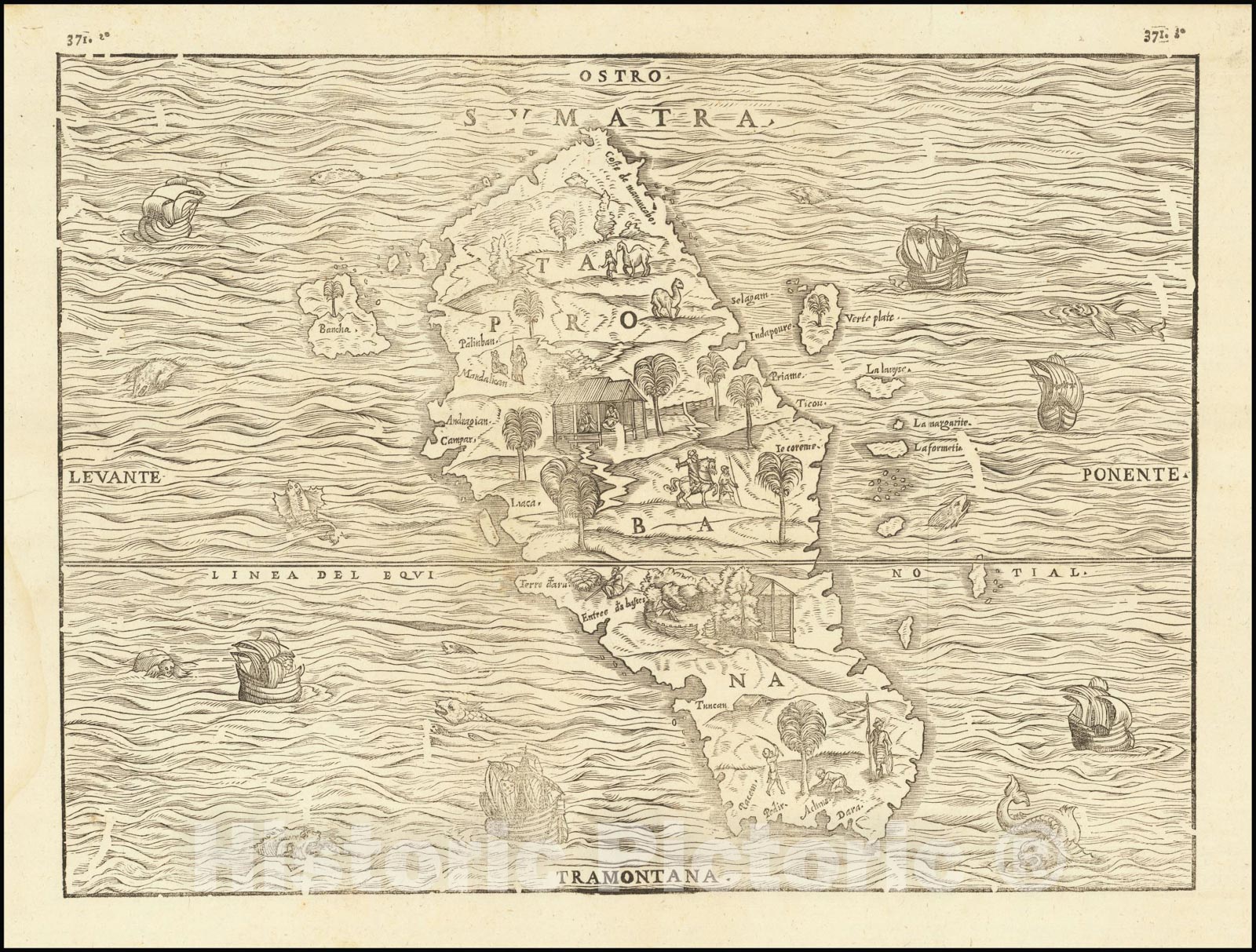 Historic Map : Sumatra, Taprobana, c1556, Giovanni Battista Ramusio, Vintage Wall Art