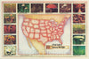 Historic Map : [Counterculture - Drug Culture] A Field Guide to American Wild Highs, 1978, Louis Crandell, Vintage Wall Art