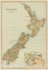 Historic Map : New Zealand (with Environs of Auckland), c1870, , Vintage Wall Art