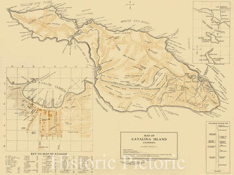 Historic Map : Map of Catalina Island California, Wilson's Map of Avalon and Catalina Island, 1913, Harry Wilson, Vintage Wall Art