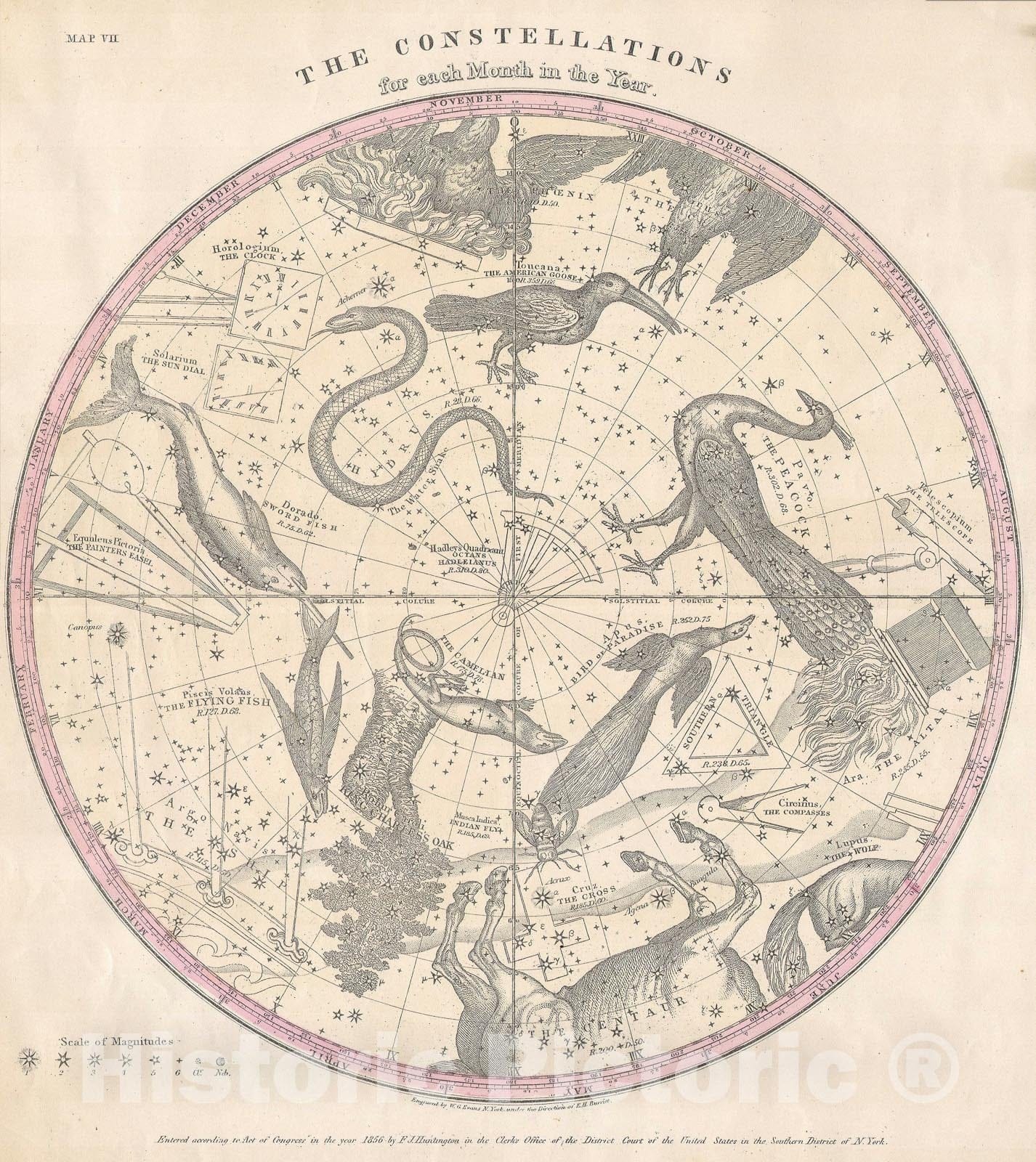 Historic Map : The Stars &amp; Constellations of The Southern Hemisphere, Burritt - Huntington, 1856, Vintage Wall Art