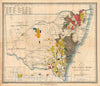 Historic Map : The Gold Fields of New South Wales, Richards, 1876, Vintage Wall Art