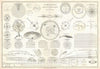 Historic Map : Cosmographic and Solar System Chart, Drioux, 1914, Vintage Wall Art