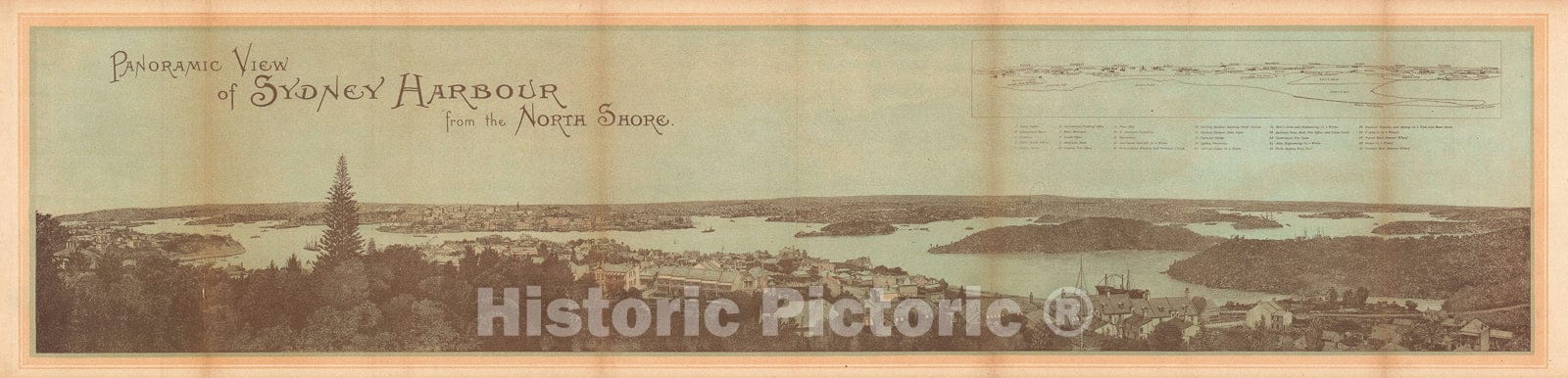 Historic Map : Sydney Harbor, Australia, Panoramic, 1878, Vintage Wall Art