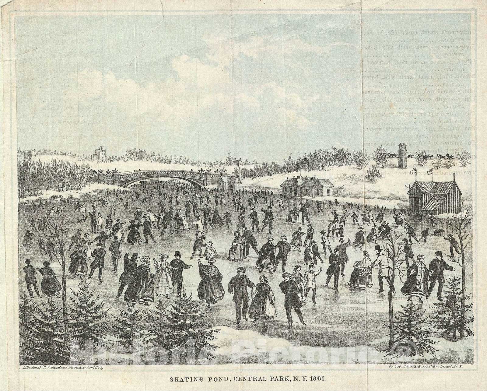 Historic Map : Skating Pond in Central Park, New York, Valentine, 1861, Vintage Wall Art