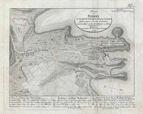 Historic Map : Sydney, New South Wales, Australia, Lesueur and Boullanger, 1808, Vintage Wall Art