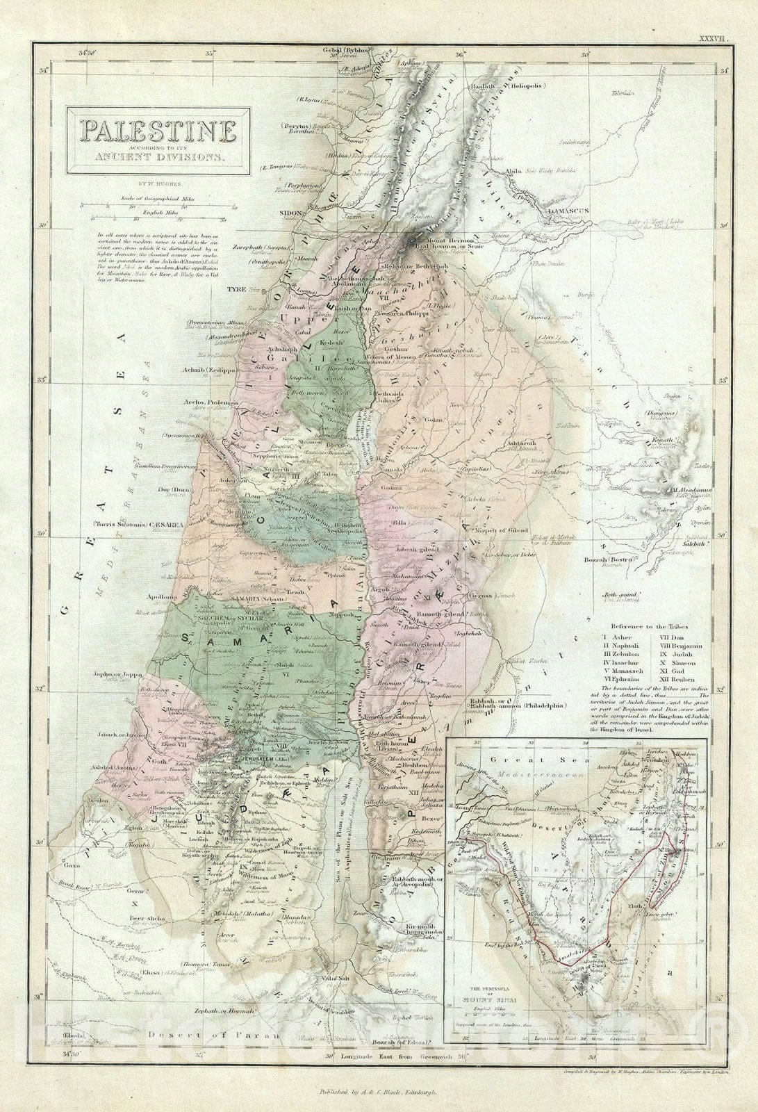 Historic Map : Ancient Palestine, Israel or Holyland "12 Tribes", Black, 1851, Vintage Wall Art