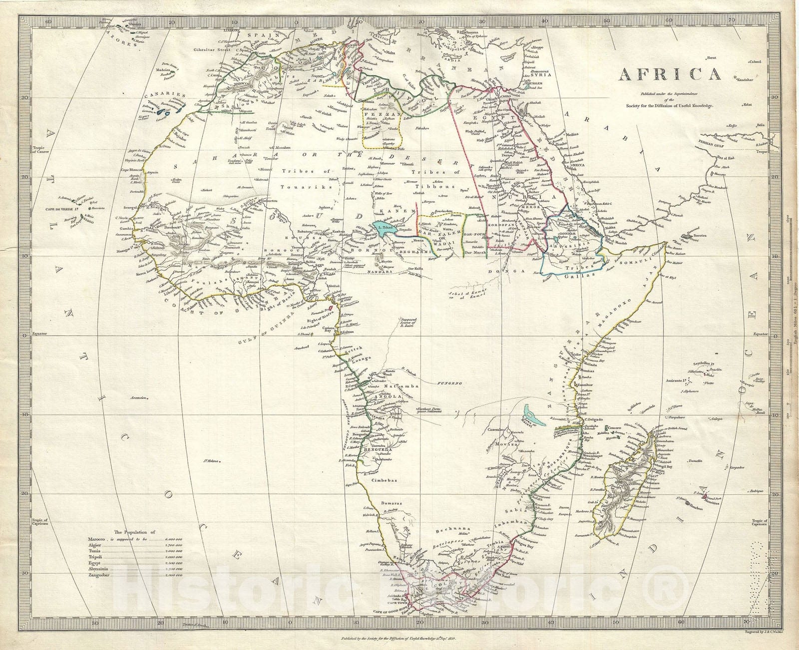 Historic Map : Africa, S.D.U.K., 1839, Vintage Wall Art