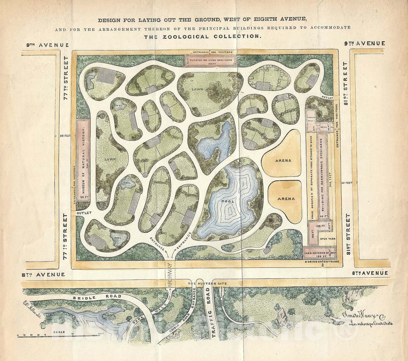 Historic Map : Plan of The Natural History Museum Grounds, New York City, Vaux and Olmstead, 1867, Vintage Wall Art