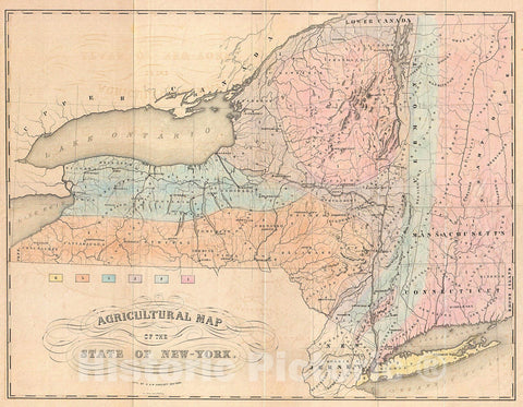Historic Map : Emmons Agricultural Map of New York State, 1846, Vintage Wall Art
