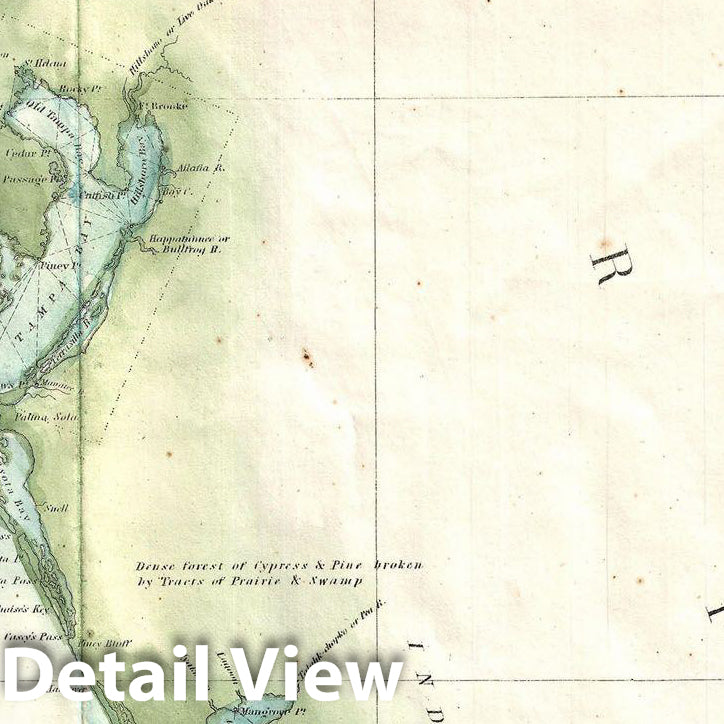 Historic Map : U.S. Coast Survey Map of Florida, Version 2, 1859, Vintage Wall Art