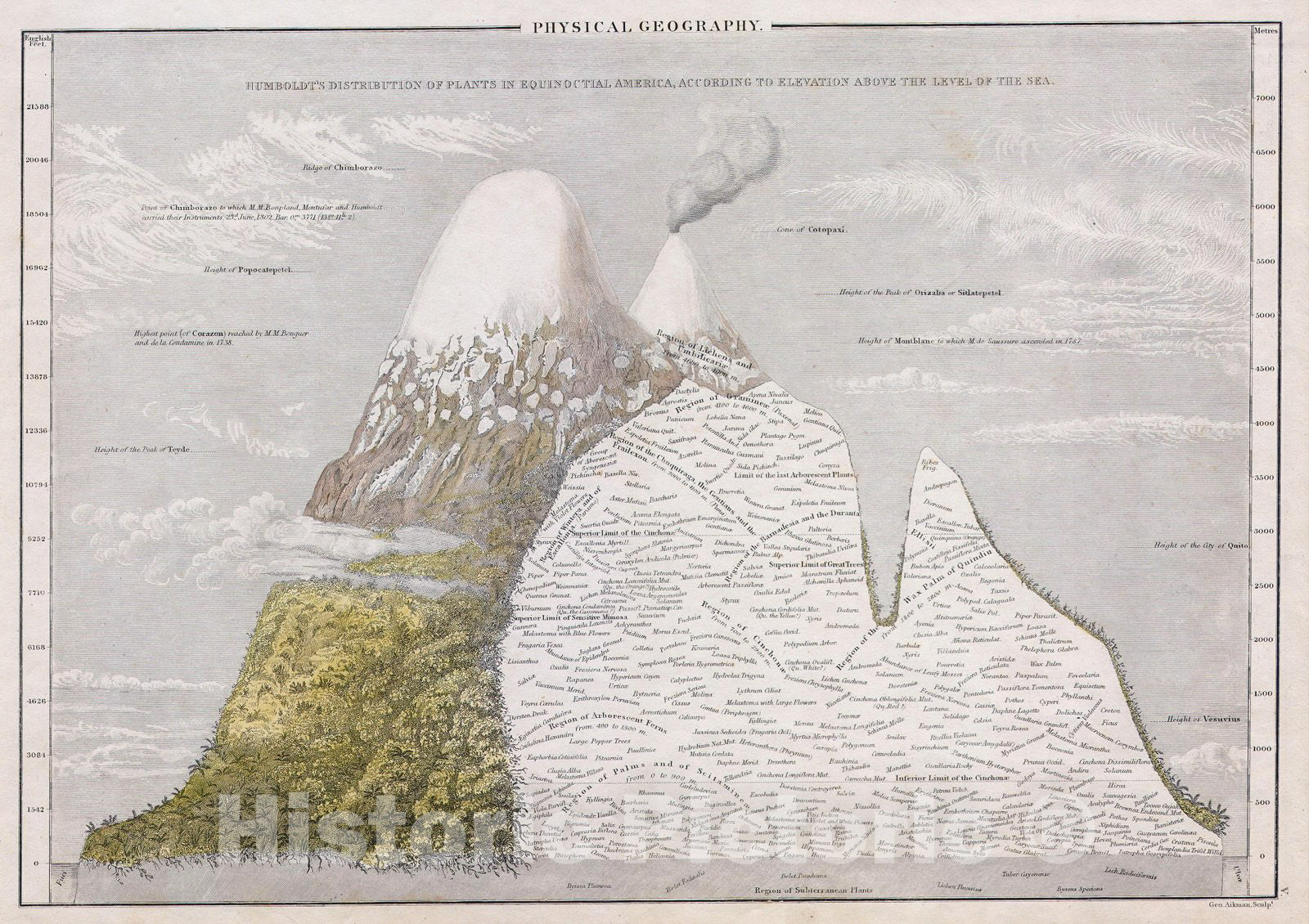 Historic Map : Hall Map of The Mountains & Plants of America, 1839, Vintage Wall Art