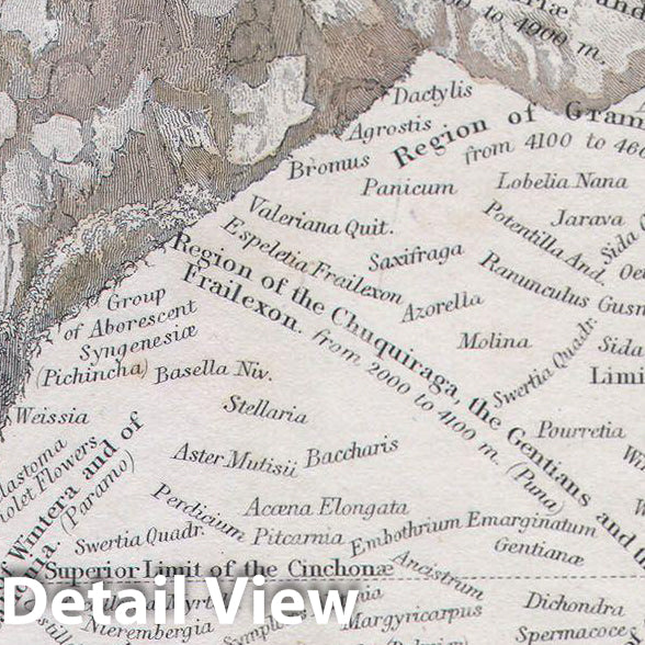 Historic Map : Hall Map of The Mountains & Plants of America, 1839, Vintage Wall Art