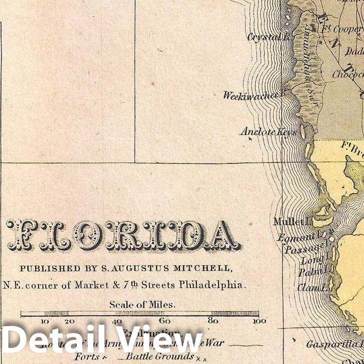 Historic Map : Mitchell Map of Florida, 1849, Vintage Wall Art
