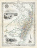 Historic Map : Tallis and Rapkin Map of New South Wales, Australia, Version 2, 1851, Vintage Wall Art