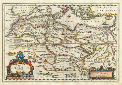 Historic Map : Blaeu Map of The Maghreb or Barbary Coast, Northern Africa, 1640, Vintage Wall Art