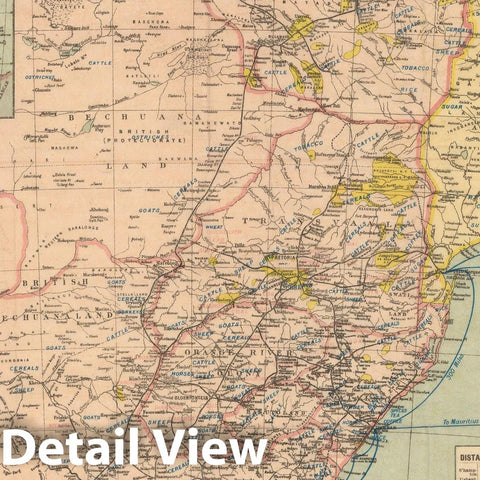 Historic Map : Southern Africa Steamship Routes 1890 , Vintage Wall Art