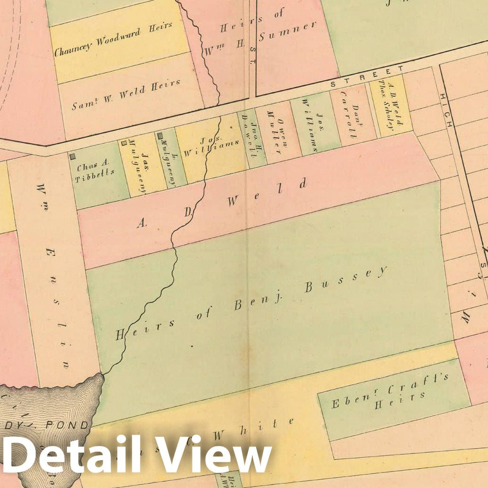 Historic Map : Atlas of County of Suffolk, MA, Vol. 5th, West Roxbury 1874 Plate L , Vintage Wall Art