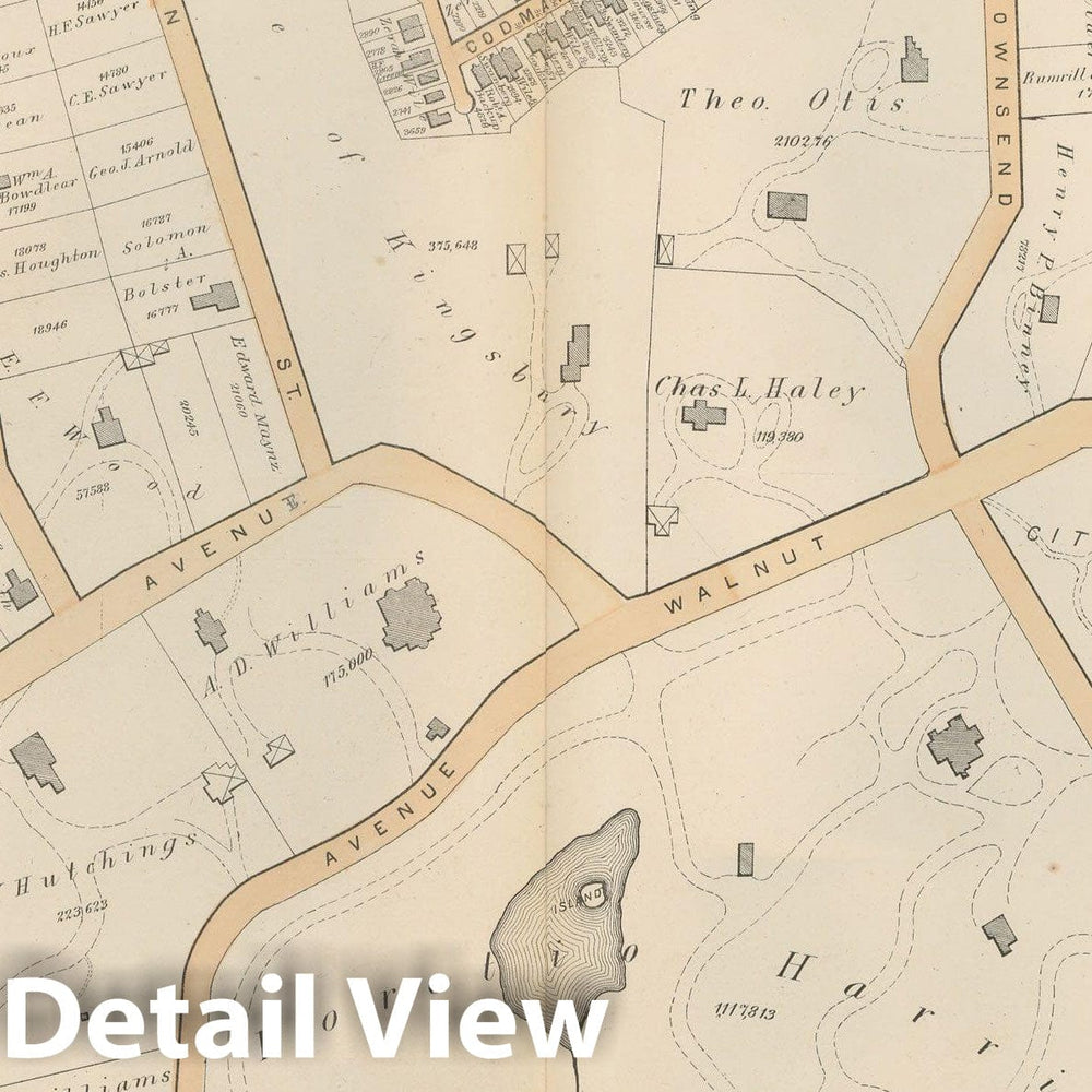 Historic Map : Atlas of County of Suffolk, MA Vol. 2nd, Roxbury 1873 Plate I , Vintage Wall Art