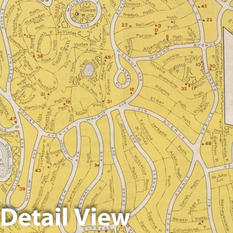 Historic Map : Mount Auburn Cemetery 1941 , Vintage Wall Art