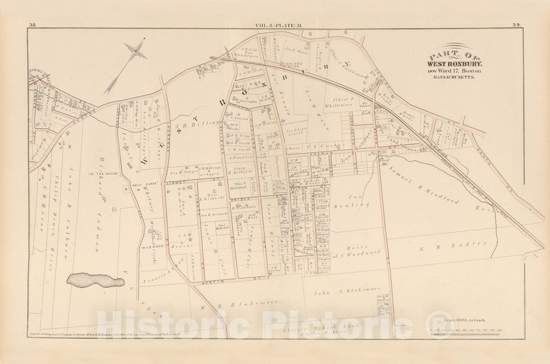 Historic Map : Atlas of County of Suffolk, MA, Vol. 5th, West Roxbury 1874 Plate M , Vintage Wall Art