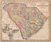 Historic Map : A New Map of the State of South Carolina : Published by Charles Desilver, 1859 - Vintage Wall Art
