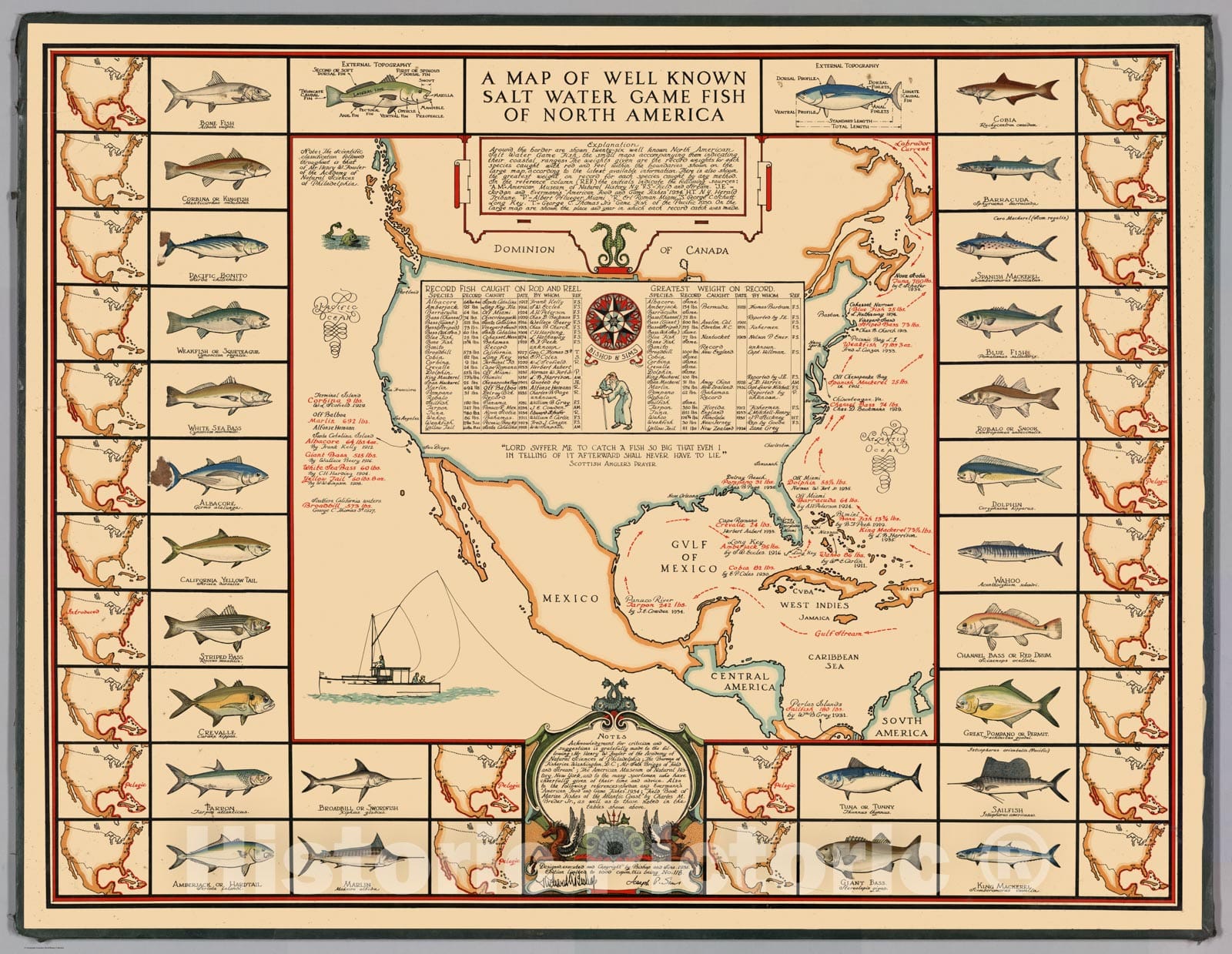 Historic Map - Map of Well Known Salt Water Game Fish of North America -  Historic Pictoric