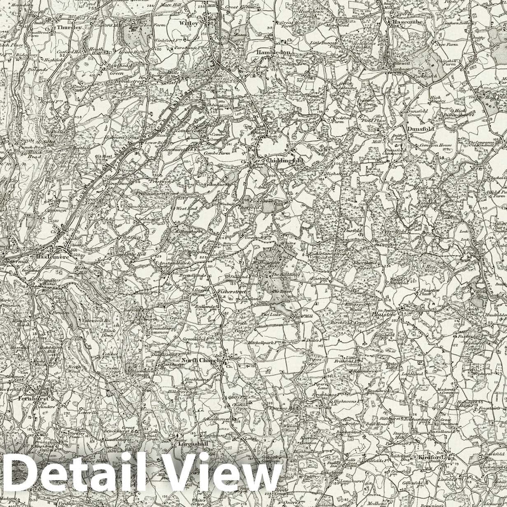 Historic Map : 301 Haslemere 1896 - Vintage Wall Art