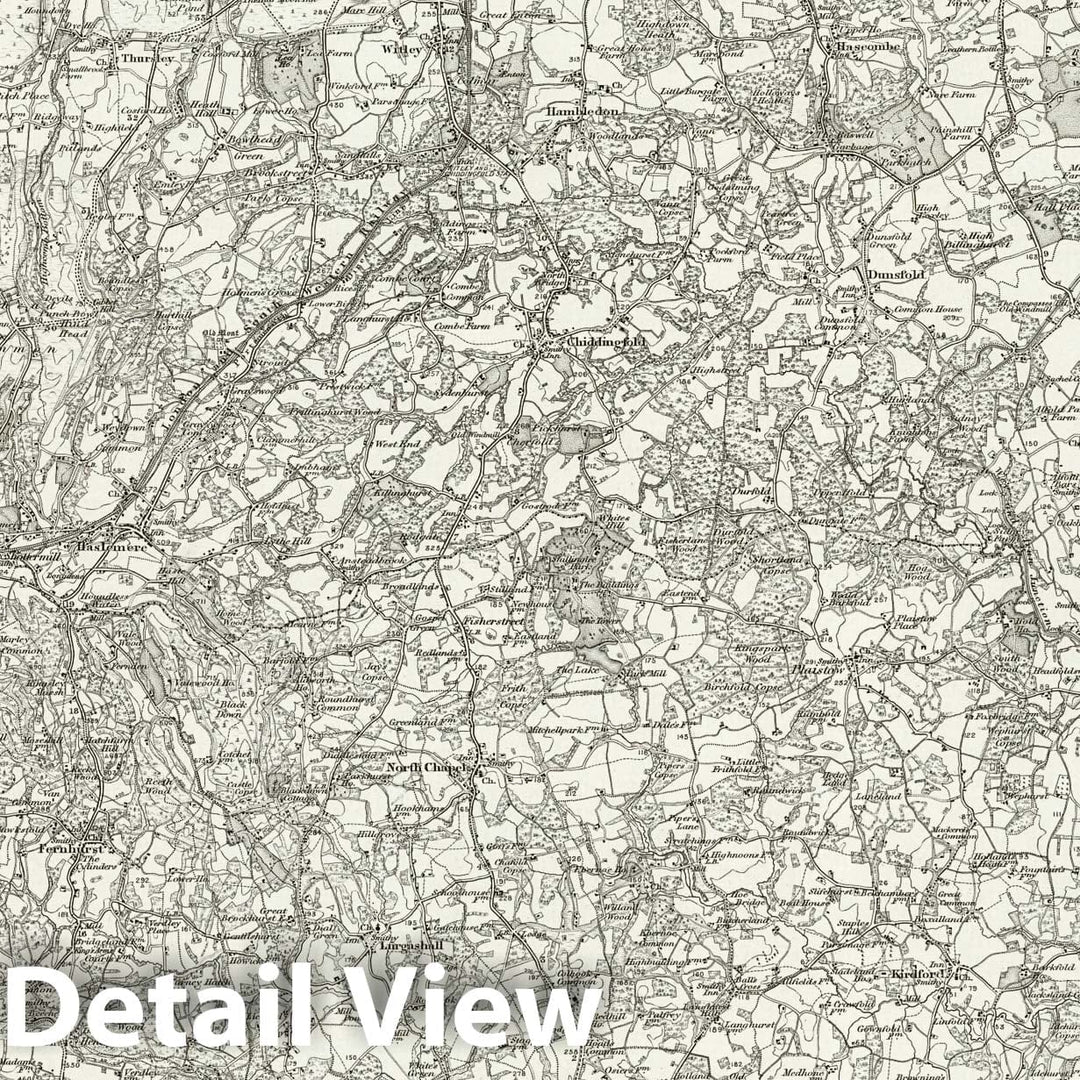 Historic Map : 301 Haslemere 1896 - Vintage Wall Art