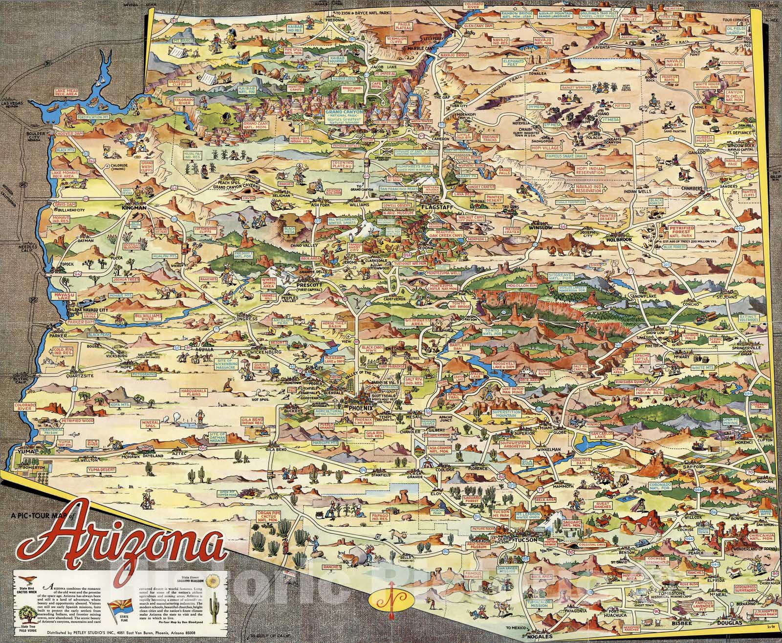 Historic Map - A pic-tour map of Arizona, 1950 v1
