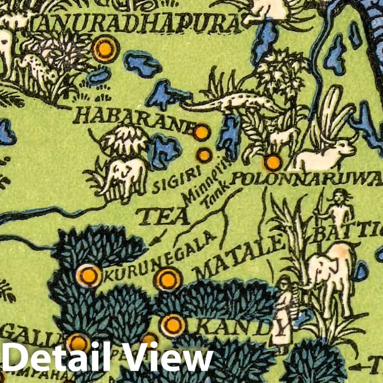 Historic Map : Map of Ceylon showing her Tea industry, 1934 - Vintage Wall Art