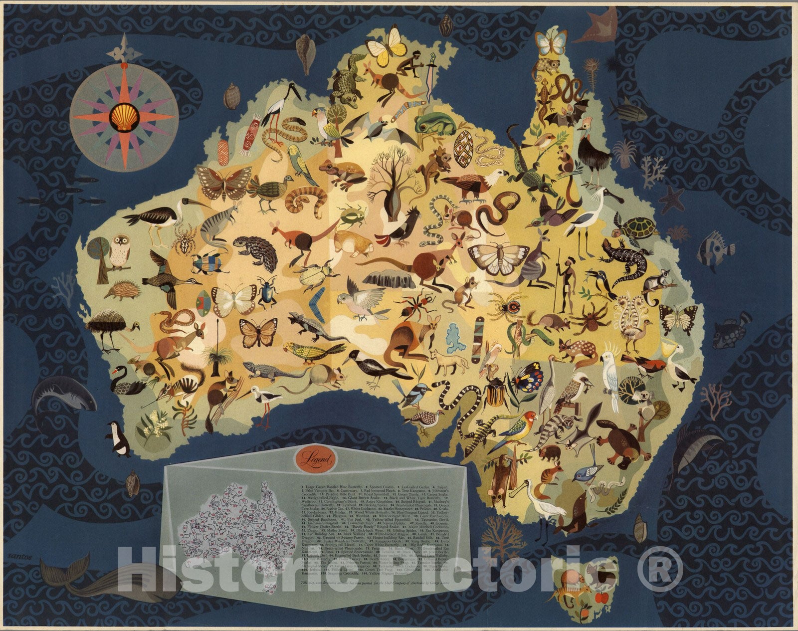Historic Map : Australia - Decorative Animals by George Santos. 1940 - Vintage Wall Art