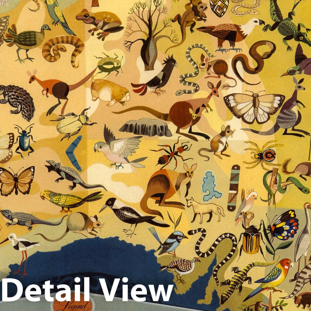 Historic Map : Australia - Decorative Animals by George Santos. 1940 - Vintage Wall Art