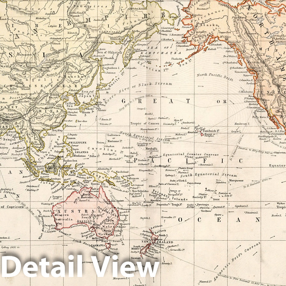 Historic Map : World Atlas Map, World on Mercator's Projection. 1882 - Vintage Wall Art