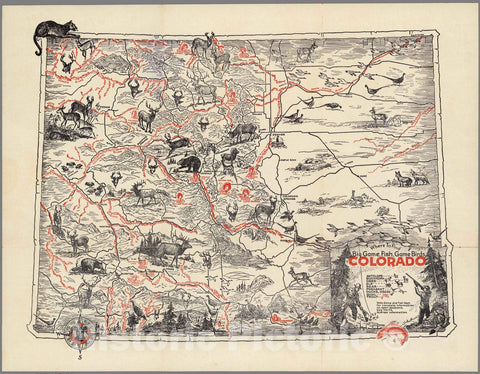Historic Wall Map : Pocket Map, Where to find big game, fish, game birds in Colorado 1950 - Vintage Wall Art