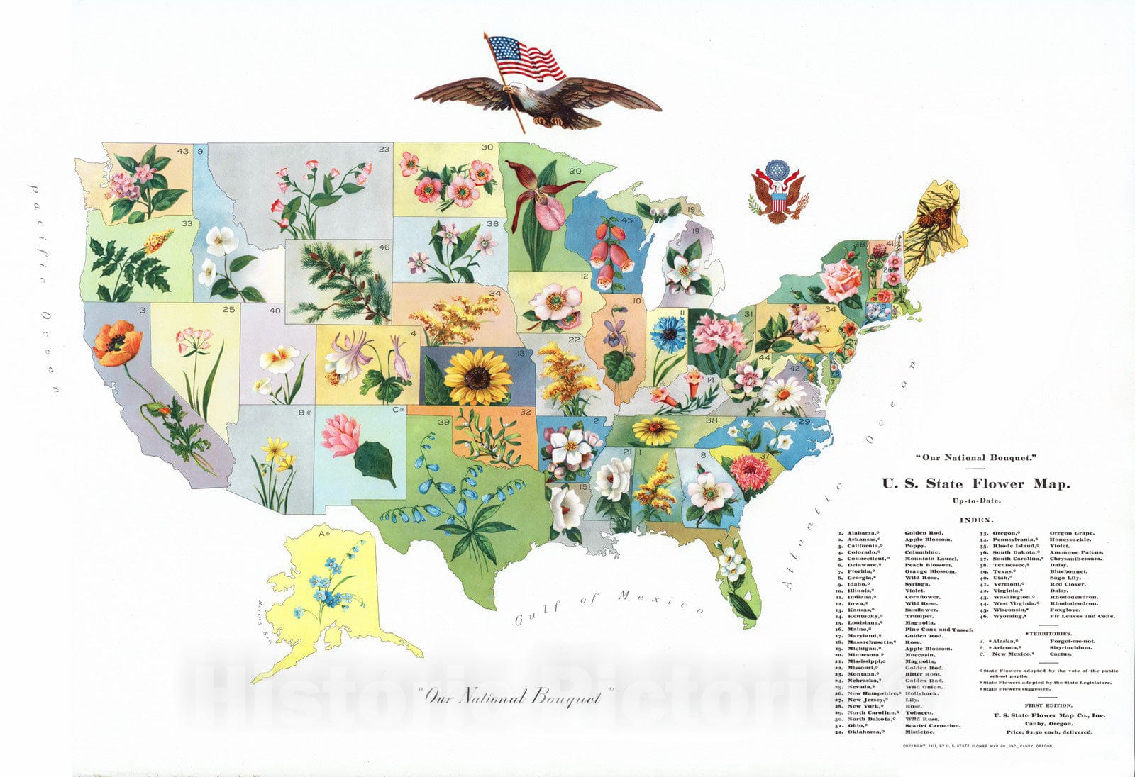 Historic Map : Our national bouquet. Copyright, 1911, by U.S. State Flower Map Co, Inc. Canby, Oregon. (inset) Alaska. - Vintage Wall Art