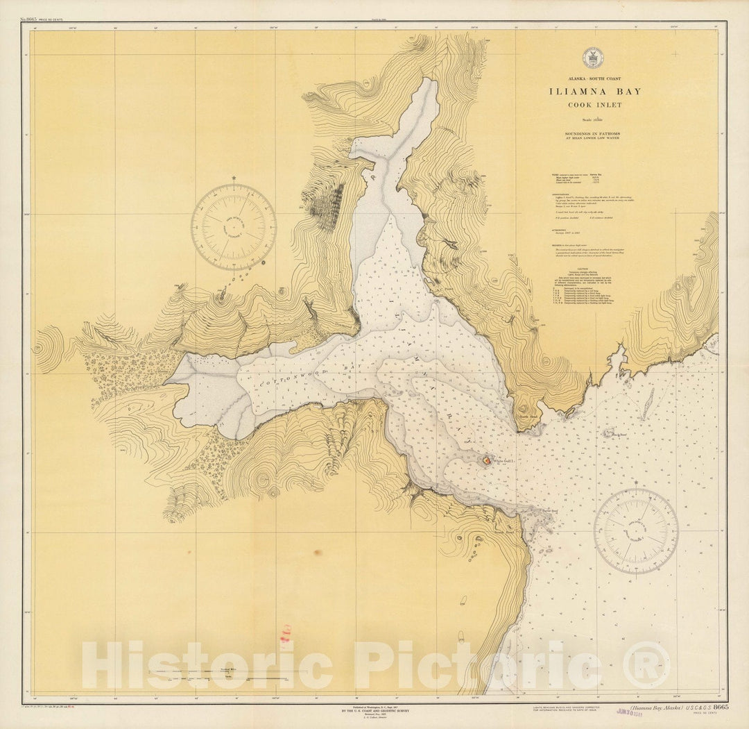 Historic Map : Alaska South - Coast : Iliamna Bay : Cook Inlet. U.S.C & G.S. 8665 1943 - Vintage Wall Art