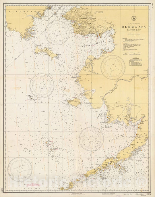 Historic Map : Alaska - west coast, Bering Sea, eastern part. U.S.C. & G.S. 9302 1948 - Vintage Wall Art