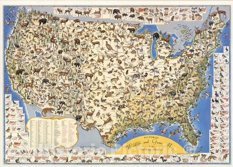 Historic Map - Pictorial wildlife and game map of the United States, 1956, - Vintage Wall Art