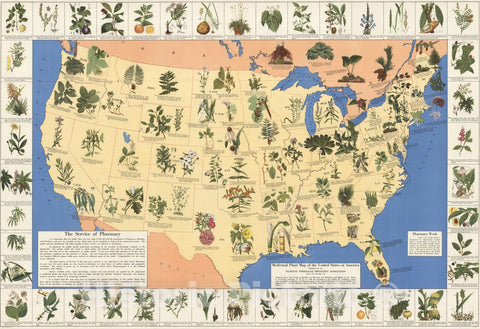 Historic Map - Medicinal plant map of the United States of America, 1932 - Vintage Wall Art