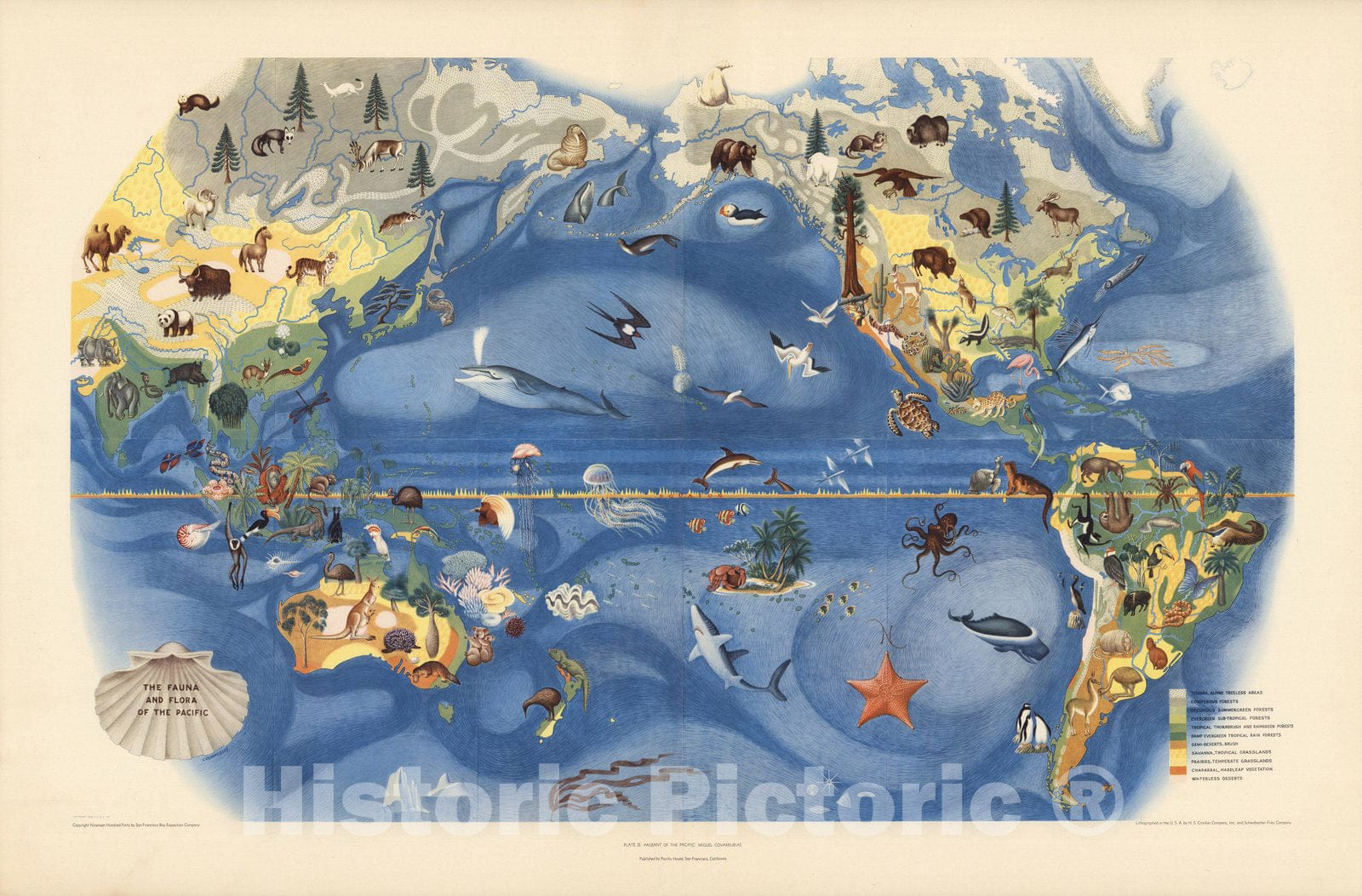 Historic Map : Plate II. The Fauna and Flora of the Pacific. Pageant of the Pacific. 1940 - Vintage Wall Art