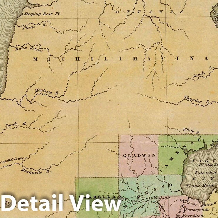 Historic Map : Michigan. 1838 - Vintage Wall Art