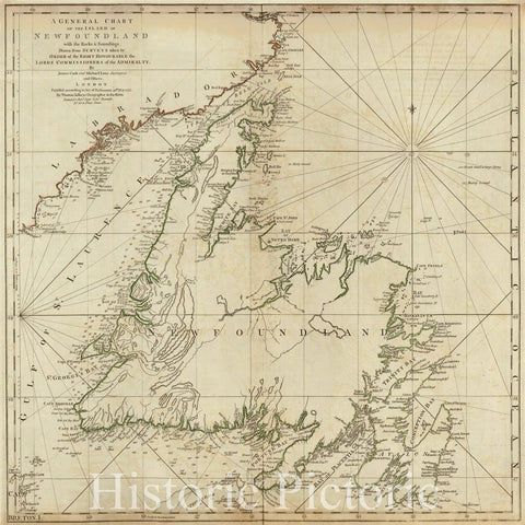 Historic Map : A General Chart of The Island of Newfoundland. 1776 - Vintage Wall Art