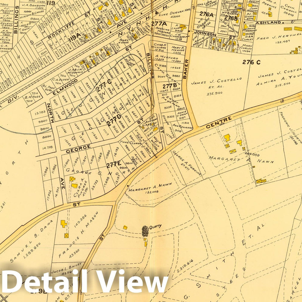 Historic Map : City Atlas - 1899 31. Ward 23 West Roxbury. - Vintage Wall Art