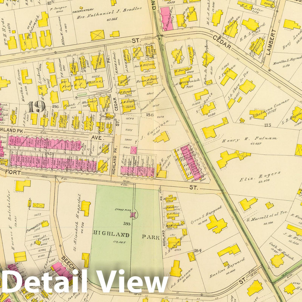 Historic Map : City Atlas - 1895 35. Wards 19, 21-22. - Vintage Wall Art