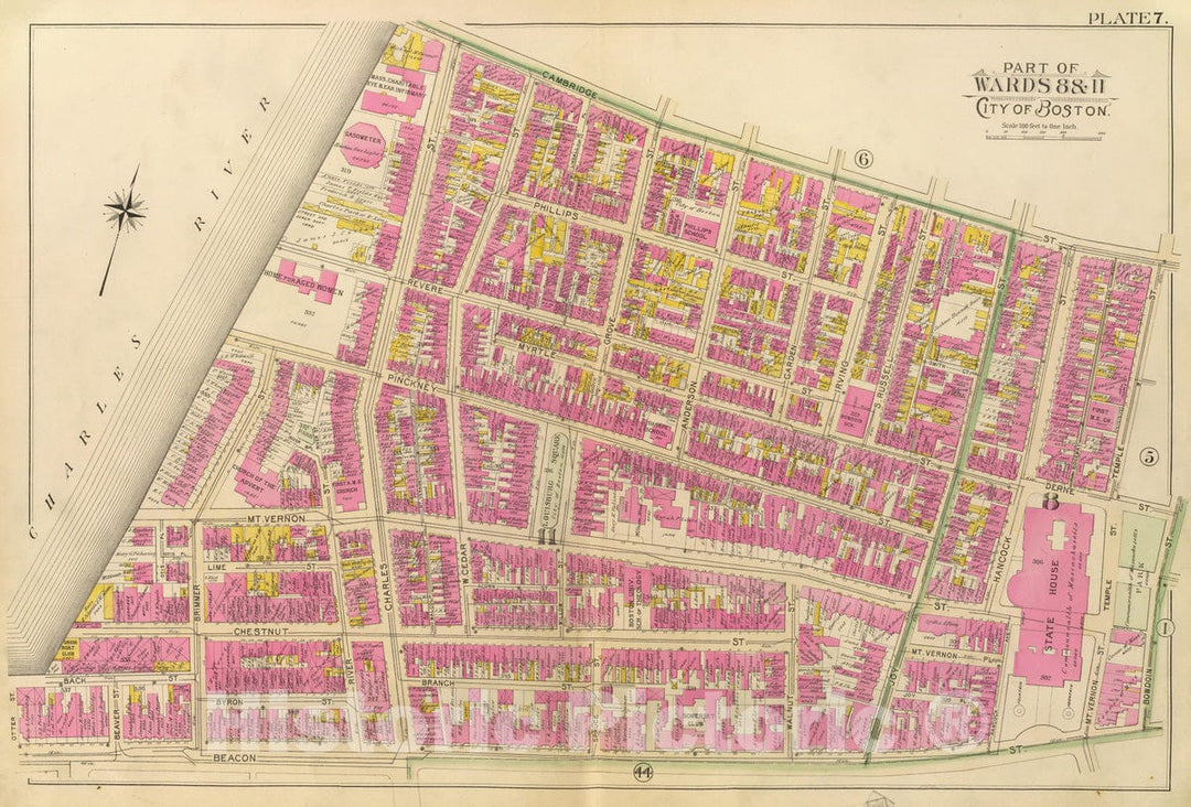 Historic Map : City Atlas - 1895 7. Wards 8, 11. - Vintage Wall Art
